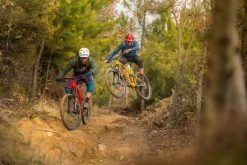 Ghost Lector LC Base U 29R Mountain Bike 2021 -Mountain Bikes Shop Ghost Lector LC Base U 29R Mountain Bike 2021 3 ml