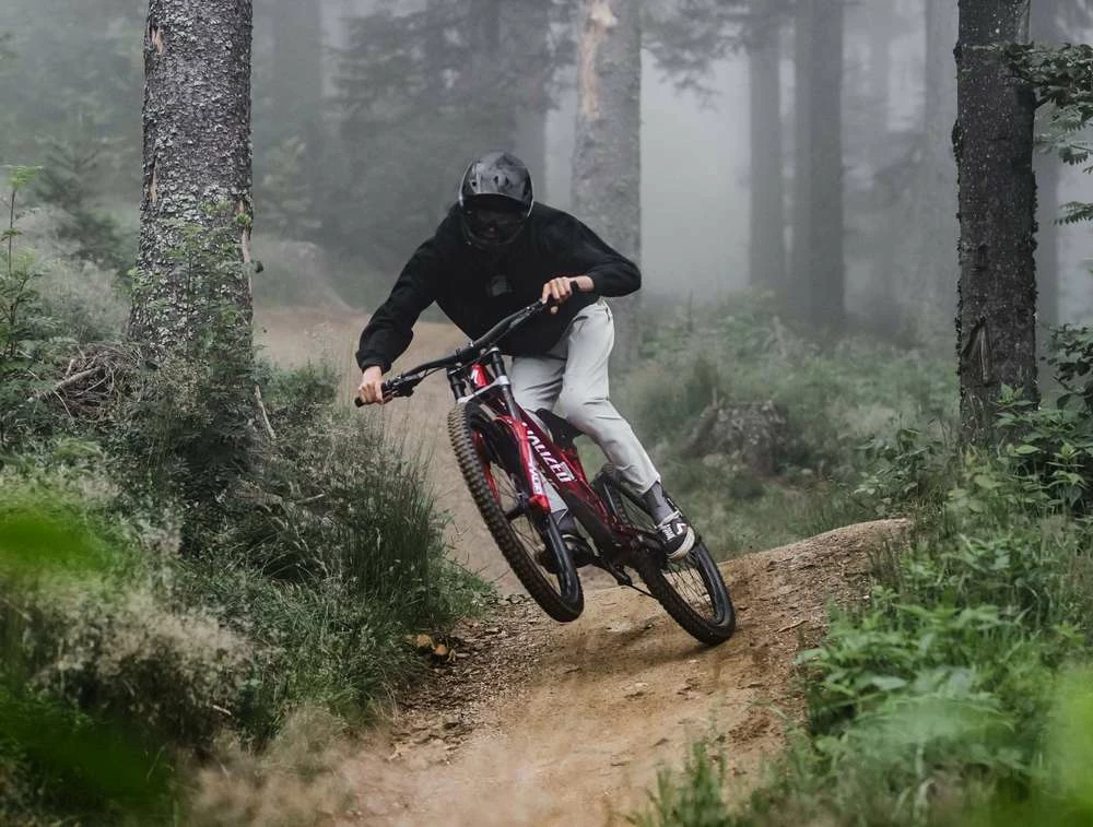 Specialized Stumpjumper Evo Comp Carbon 29R Fullsuspension Mountain Bike 5 Specialized Stumpjumper Evo Comp Carbon 29R Fullsuspension Mountain Bike - Image 3