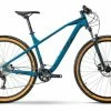 R-raymon R Raymon HardRay Nine 4.0 29R Mountain Bike -Mountain Bikes Shop R Raymon hardray nine 4.0 mountain bike 2021 01 ml