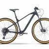 R-raymon R Raymon HardRay Nine 6.0 29R Mountain Bike