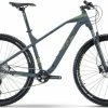 R-raymon R Raymon HardRay Nine 6.5 29R Mountain Bike -Mountain Bikes Shop R Raymon HardRay Nine 6.5 29R Mountain Bike 2021 1 ml