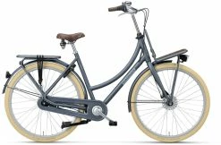 Batavus PACKD Plus 7 City Bike -Mountain Bikes Shop batavus packd plus 7 city bike 2022 04 ml