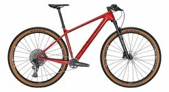 Focus Raven 8.8 29R Mountain Bike 2022