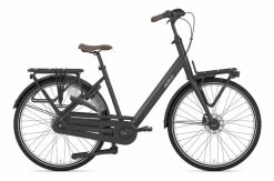 Gazelle Bloom Trekking Bike