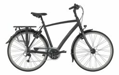 Gazelle Chamonix T27 Trekking Bike