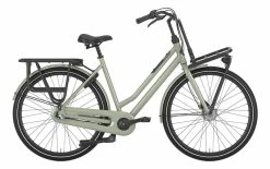 Gazelle HeavyDutyNL 3-G Trekking Bike -Mountain Bikes Shop gazelle heavydutynl 3 g trekking bike 2022 2 09 ml