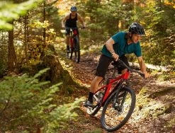 Ghost Lector FS SF Essential 29R Fullsuspension Mountain Bike -Mountain Bikes Shop ghost lector fs sf essential fullsuspension mountain bike 2023 03 ml