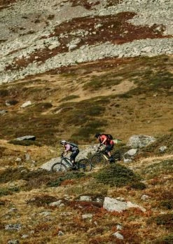 Rabeneick TS5 Shimano Nexus 8-G Trekking Bike 2022 -Mountain Bikes Shop rabeneick ts5 trekking bike 2022 01 10 ml