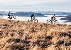 R-raymon R Raymon HardRay Nine 2.0 29R Mountain Bike -Mountain Bikes Shop rraymon hardray nine 2.0 mountain bike 2021 11 ml