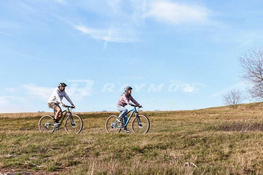 R-raymon R Raymon HardRay 3.5 29R Mountain Bike 5 R-raymon R Raymon HardRay 3.5 29R Mountain Bike - Image 3