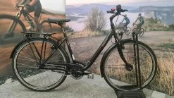 Vsf-fahrradmanufaktur Vsf Fahrradmanufaktur T-50 FL Shimano Nexus 8-G Trekking Bike 2022 -Mountain Bikes Shop vsf fahrradmanufaktur T 50 wave ml