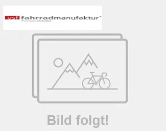 Vsf-fahrradmanufaktur Vsf Fahrradmanufaktur T-50 Shimano Nexus 8-G RT Trekking Bike 3 Vsf-fahrradmanufaktur Vsf Fahrradmanufaktur T-50 Shimano Nexus 8-G RT Trekking Bike