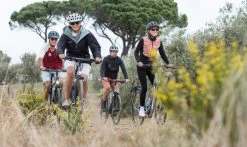 Winora Domingo 12 Pro Trekking Bike -Mountain Bikes Shop winora domingo 12 pro trekking bike 2023 04 ml