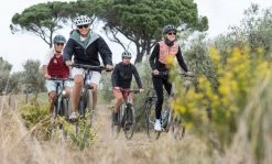 Winora Domingo 27 Trekking Bike -Mountain Bikes Shop winora domingo 27 trekking bike 2023 04 ml